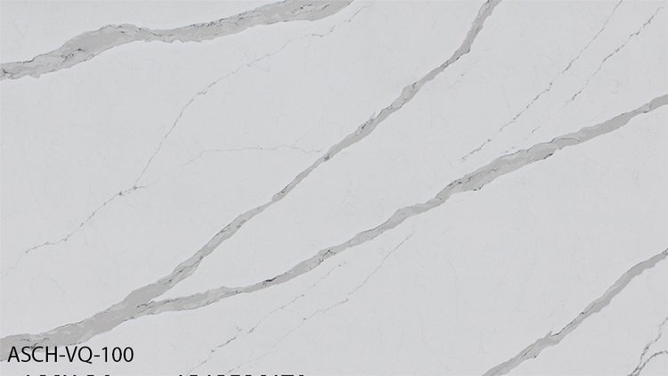 ASCH-VQ-100