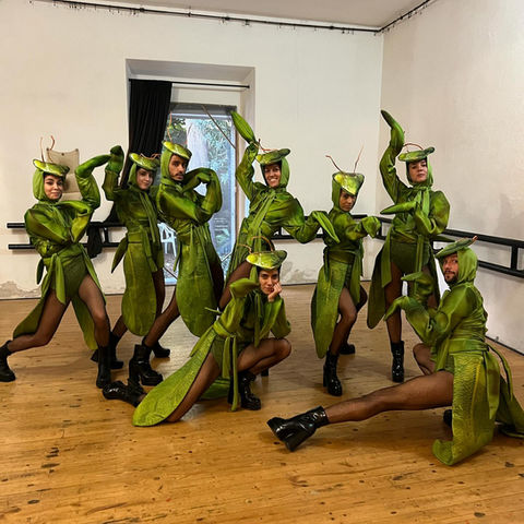 Mantidi