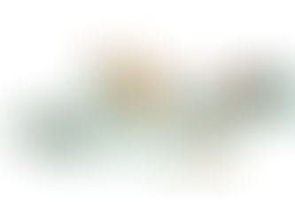 Mondi launches extended corrugated and solid board portfolio for the food packaging industry