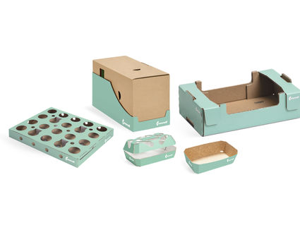 Mondi launches extended corrugated and solid board portfolio for the food packaging industry