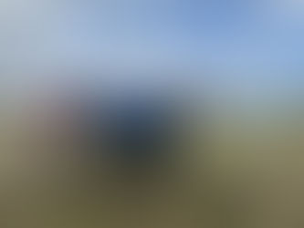 New woodland in Mansfield with 3500 trees planted 