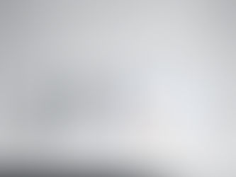 Folding carton and leaflet combined into a single unit