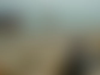 Dead Sea coastal erosion research may help protect coastlines worldwide