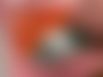 New fast drying plate sealer delivers gains in corrugated post print production