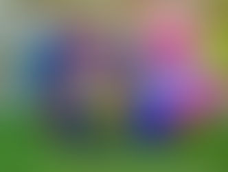 Snow White at The Assembly Hall