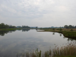 Aggregate Industries works with Yorkshire Wildlife Trust to turn quarry into wildlife haven