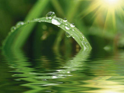 KM among Global 100 most sustainable corporations for fifth time in four years