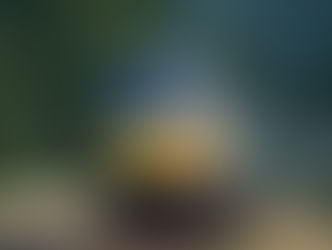 And, while we are talking trains...