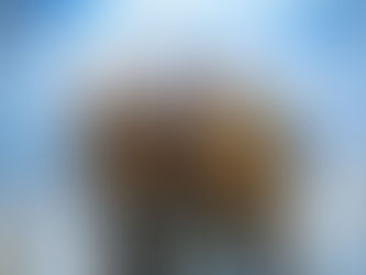 FINAT celebrates future label talents