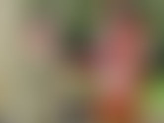 Cinderella panto launch – oh, no it isn't!