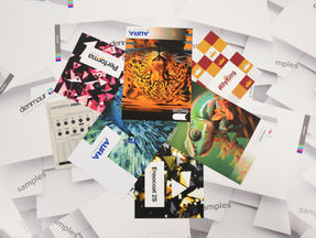 Denmaur officially expands into carton board with new appointments and another new product to market