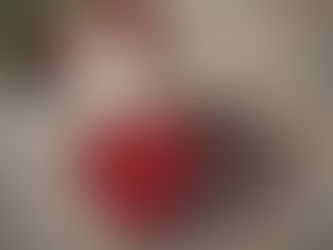 Love your partner and the planet this Valentine’s Day