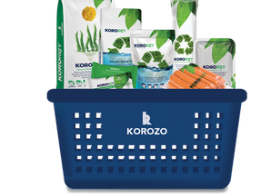 Korozo Group shows sustainable solutions for today and tomorrow