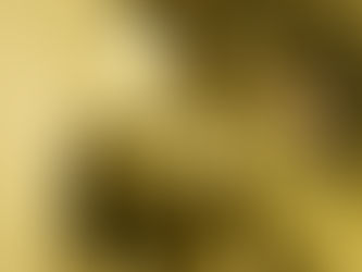 Investors back grasspaper