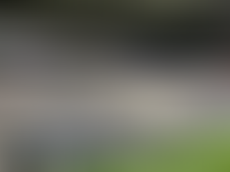 A totally different ball game