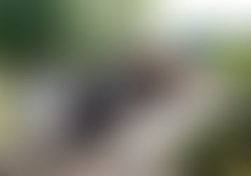 Official opening of the new carriage shed at Rolvenden