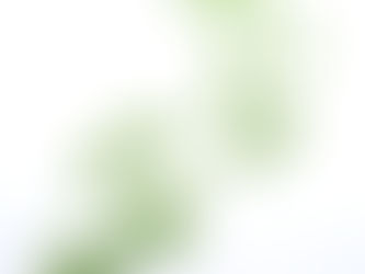 EU Green Deal: Consumer participation is key to reach circularity