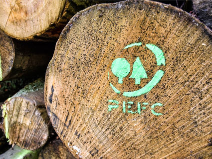 Revised standards approved by the PEFC General Assembly