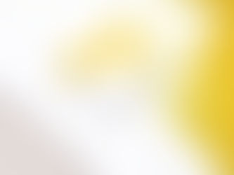 Mondi and traceless to develop coating solution from agricultural by-products