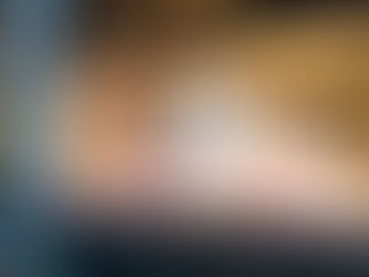 Deck the Halls: Mount Street Printers’ Christmas window display