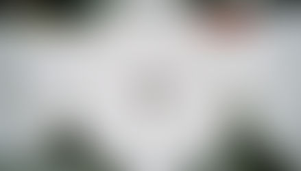 The philosophy of white