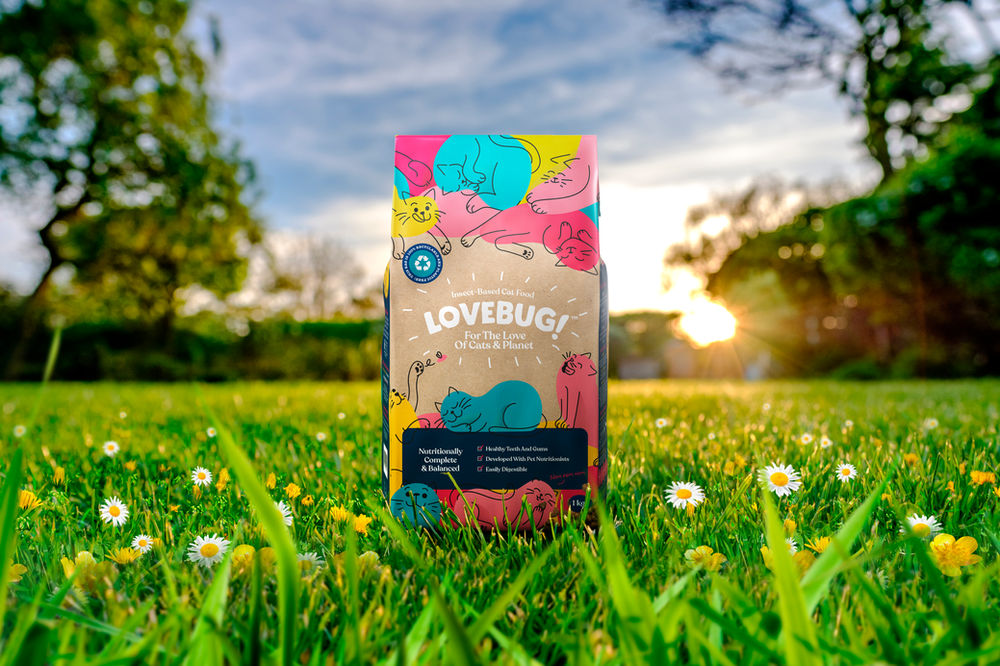 Lovebug, the UK’s first 100 insect based cat food Lovebug, the UK’s first 100 insect based cat food