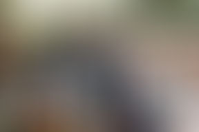 Relive the Fabulous Forties 