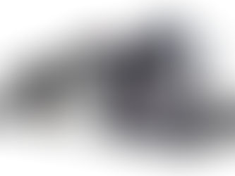 Fujifilm alliance with Nordmeccanica