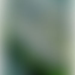 UPM Adhesive Materials plans to discontinue label materials production in Nancy