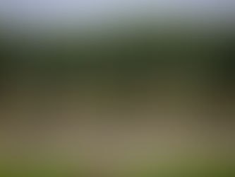 Navigator recognised as one of the world's most sustainable companies in the forestry sector