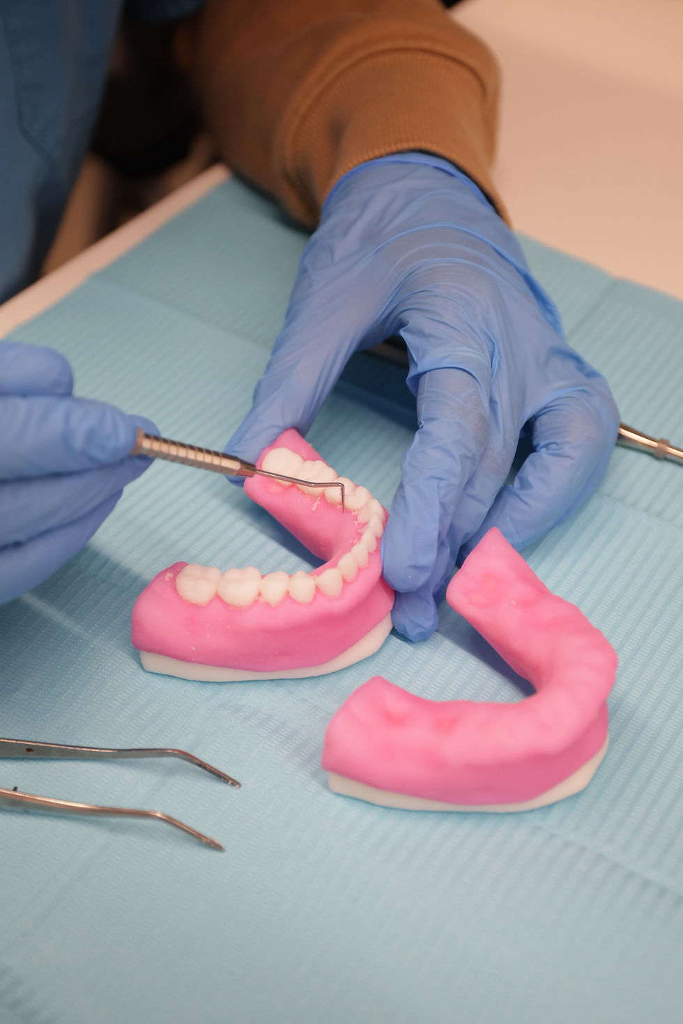 Stratasys advances simulation based training with dental anatomical model preset