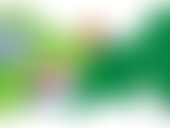 Gratkorn Mill modernisation on course