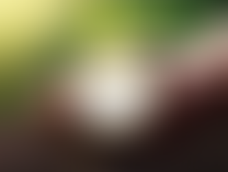 Konica Minolta receives EcoVadis Gold Medal sustainability rating for 2024