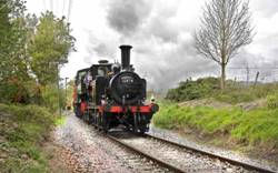 Easter Steam Up 