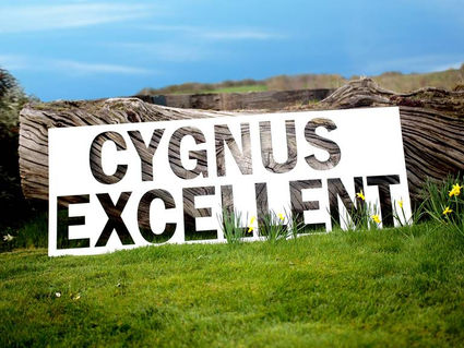 Swanline Paper & Board excels with Cygnus Excellent display board
