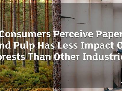 Consumers perceive paper and pulp has less impact on forests than other industries