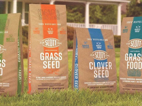 Sustainable packaging takes root