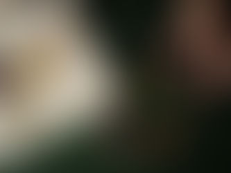 Holmen Iggesund invests in the future of packaging