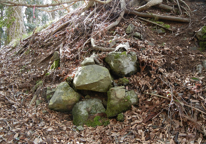 DSCN0979.JPG