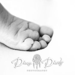 6749-diana-diarte-newborn-photography-fa