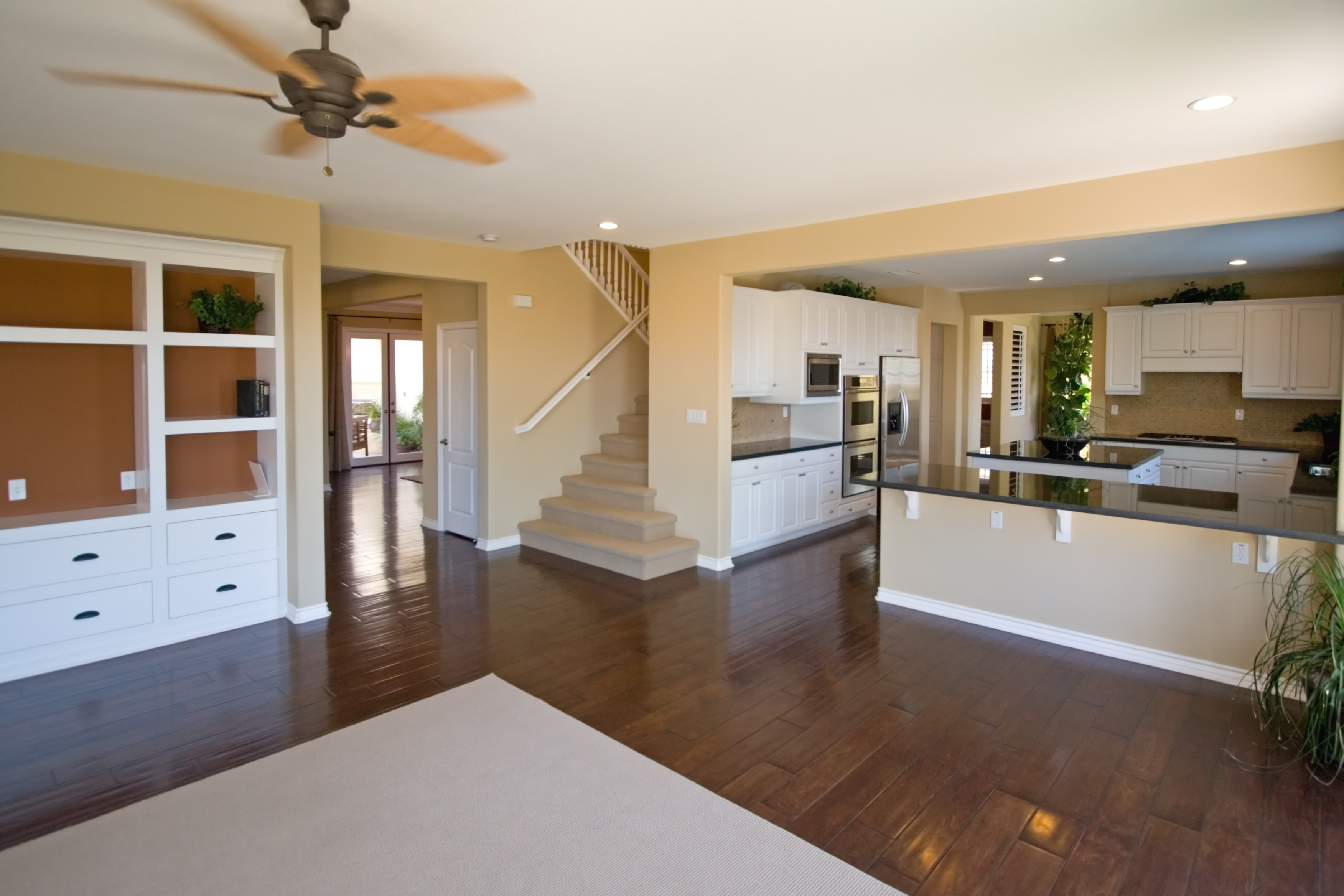 Interior Home Painting