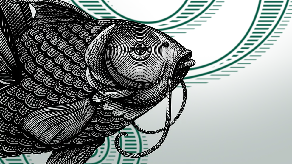 khác biệt hay bà độ