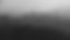Love these misty mornings_edited.jpg