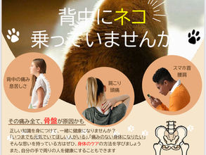 キャンペーン中です