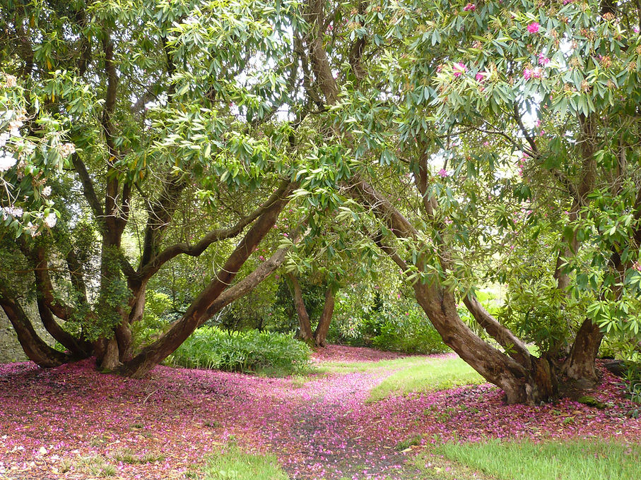 L1000104.JPG