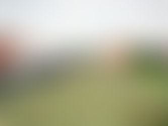 Azoteas verdes: guía práctica para transformar tu techo en un oasis urbano sostenible