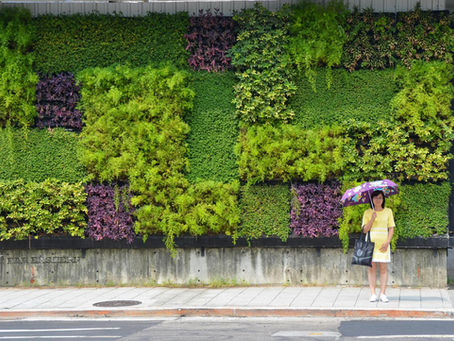 Diseñar para la lluvia: arquitectura e interiorismo que abrazan el agua