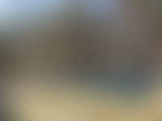 Tradición y futuro: la relación entre sostenibilidad social y cultural