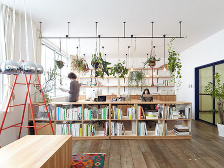 Oficinas wellness: bienestar, diseño consciente y retos en el entorno laboral