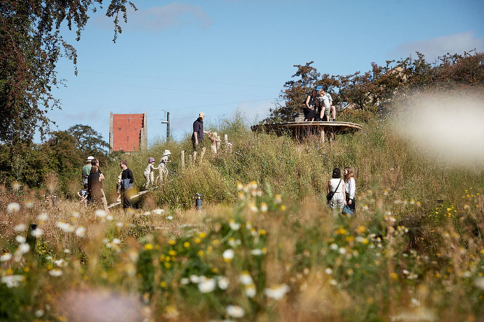 Gronningen bispeparken Climate Park, Dinamarca | SLA | Fotografía: Kobenhavns Kommune